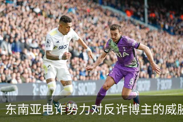 东南亚电诈势力对反诈博主的威胁与舆论反应分析